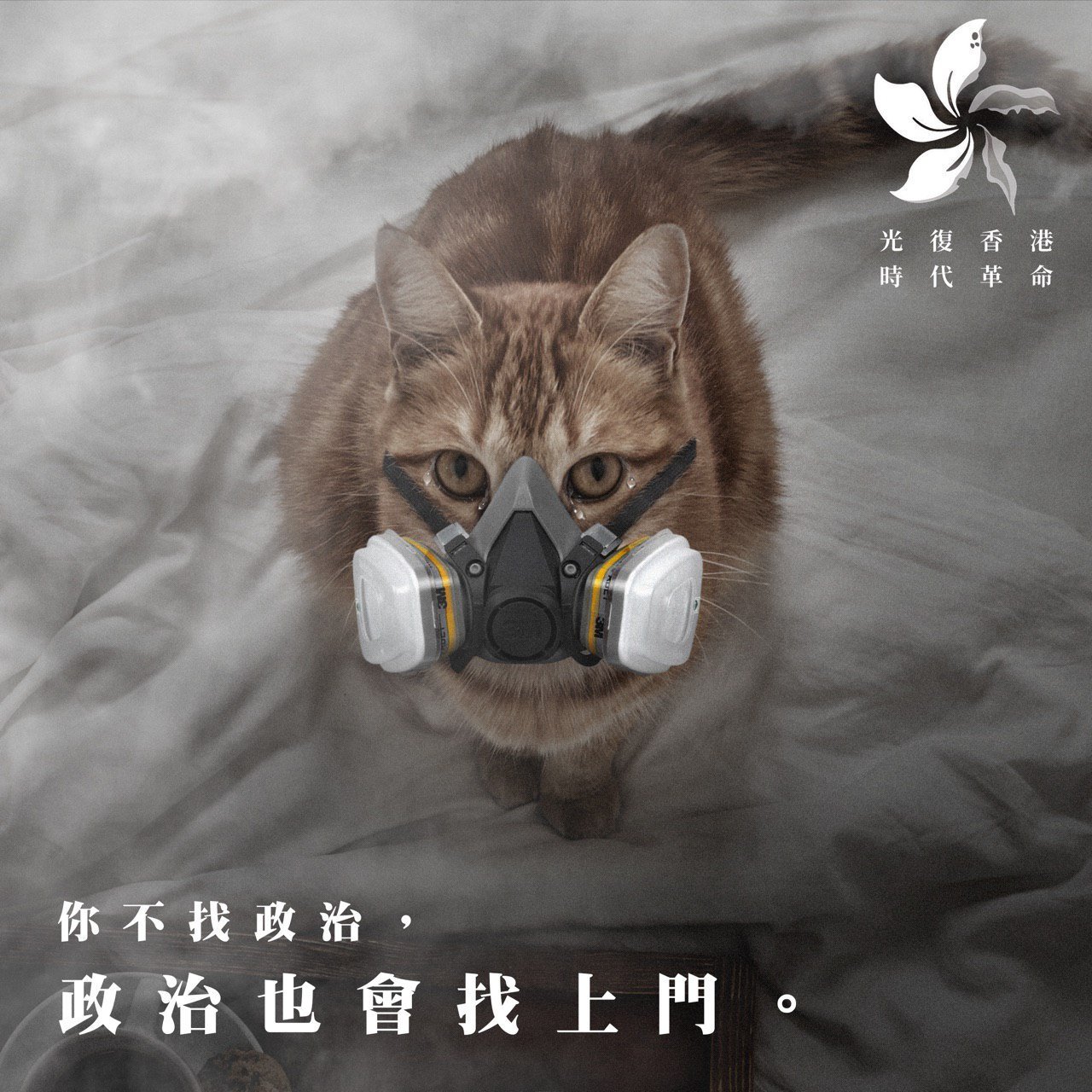 A photoshopped picture of a tabby cat wearing a respirator and tearing up, sitting on a rumpled grey sheet. A withered bauhinia logo is in the top right, with the protest slogan "Liberate Hong Kong, Revolution of our Times" underneath. A caption in Chinese underneath the image of the cat reads: "(Even if) you don't seek out politics, politics will seek out you."