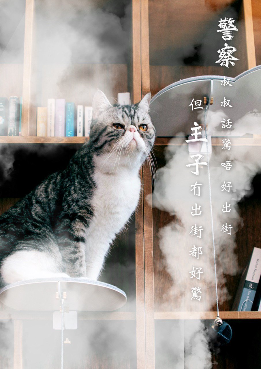 A picture of a tabby black flat-faced shorthair cat sitting on a bookshelf perch amidst a cloud of smoke. The Chinese caption reads, ""Mr. Policeman says it's scary to go out on the streets, but my master is scared even without going out.""