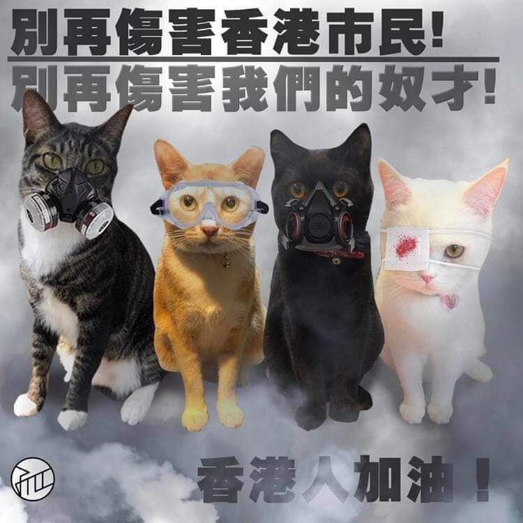 A photoshopped image of four cats - a tabby with a half-face respirator, a ginger cat with shatterproof goggles, a black cat with a half face respirator (without cartridges), and a white cat with a bloodied gauze patch over the right eye - standing against a backdrop of thick smoke. The captions read: "Stop harming Hong Kong citizens! Stop harming our underlings! Hong Kongers, add oil!"